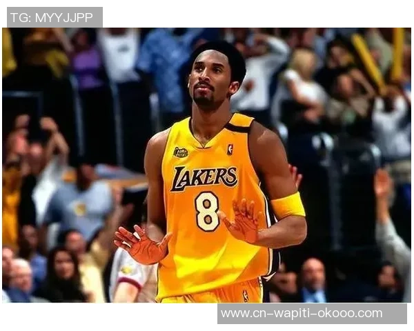 效能20+赛季有多难？NBA仅有12人做到，科比诺天王一人一城